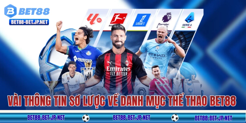 Một vài thông tin sơ lược về danh mục thể thao BET88